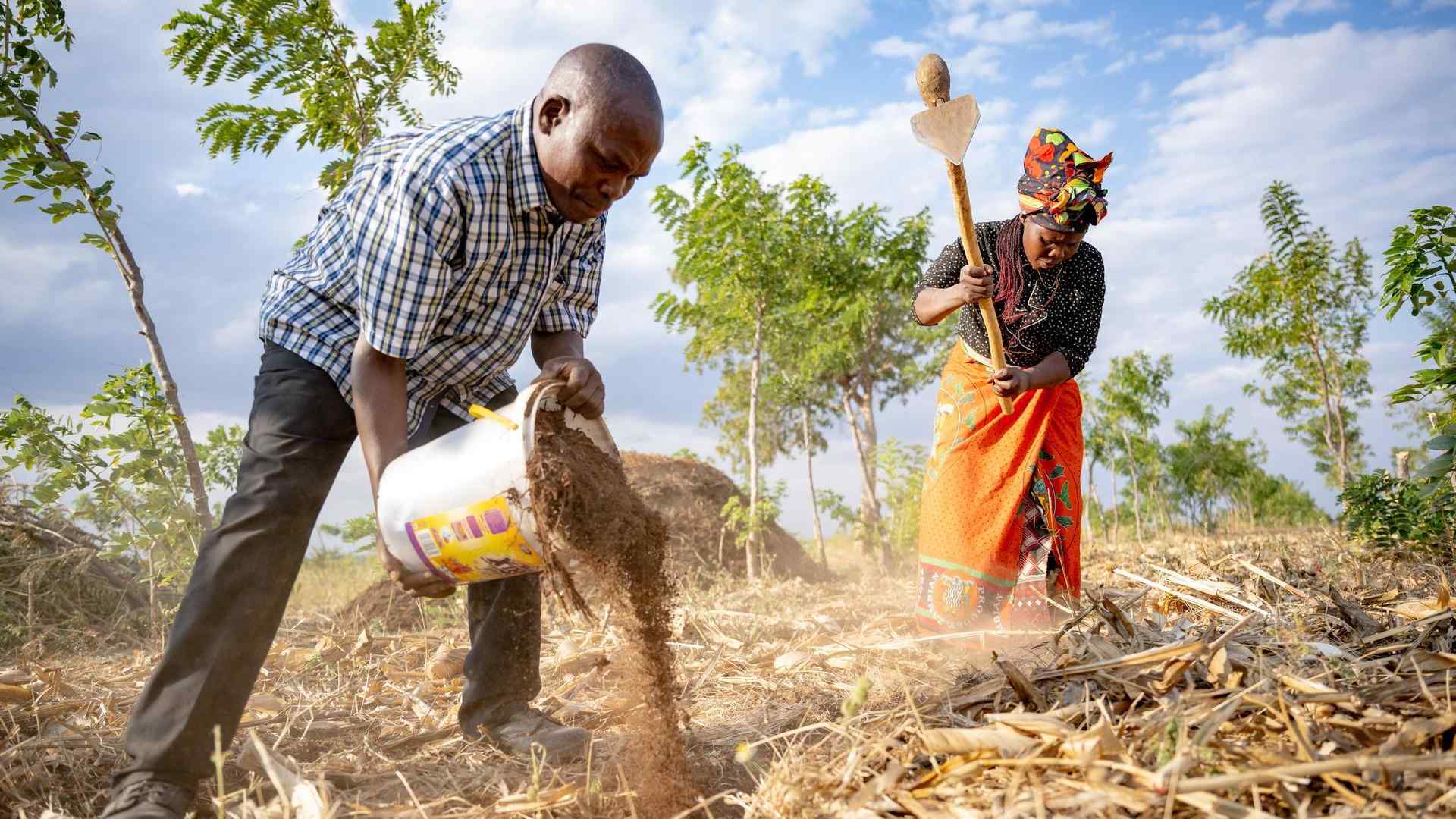 The forum will serve as the central hub for coordinating investments, aligning stakeholder contributions and tracking progress in achieving national food security goals. (Pic: Sourced)