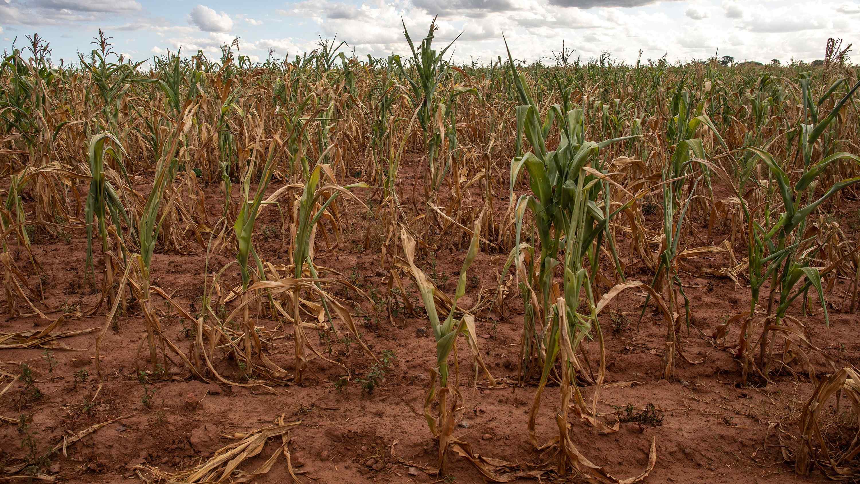 Reading the skies: SADC’s uncertain rains