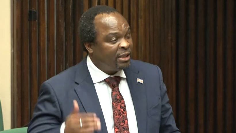Some MPs question proposed E50 daily tax penalty, call for E25 cap