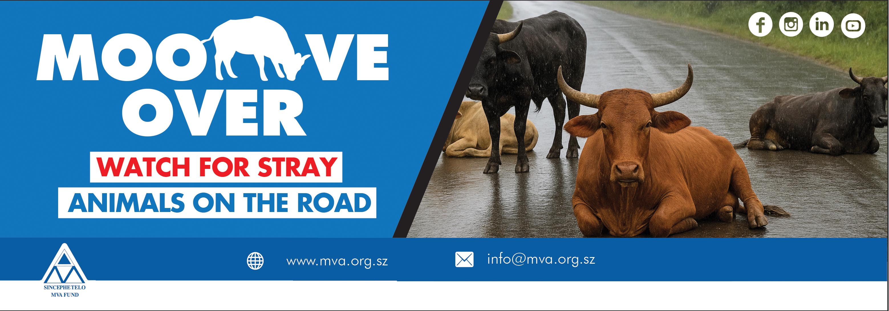 Stray animals a menace at night - kill your speed