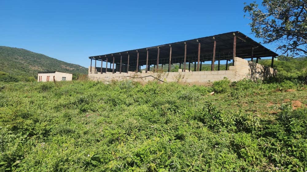 428ha farm at Mpakeni, Hluti for sale