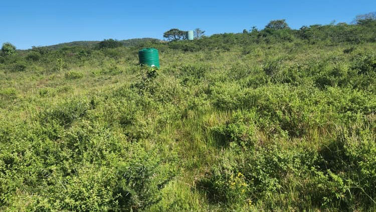 Now available on the market for E6.5 million, this expansive farm spanning over 428 hectares of land, offers endless possibilities for agricultural enthusiasts and investors alike.